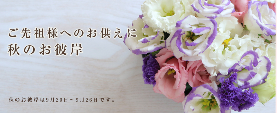 四谷の花屋 フルール杏樹 スタンド花 胡蝶蘭 花束 四谷の花屋 フルール杏樹 スタンド花 胡蝶蘭 花束