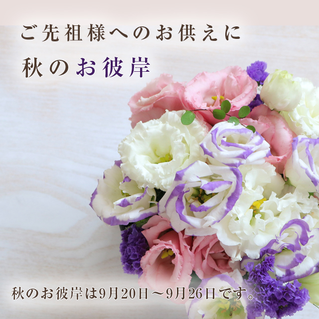 四谷の花屋 フルール杏樹 スタンド花 胡蝶蘭 花束 四谷の花屋 フルール杏樹 スタンド花 胡蝶蘭 花束