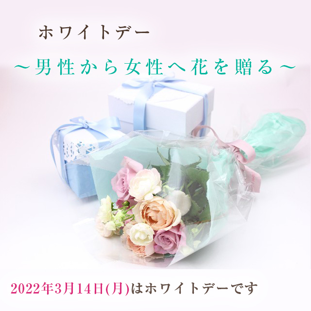 四谷の花屋 フルール杏樹 スタンド花 胡蝶蘭 花束