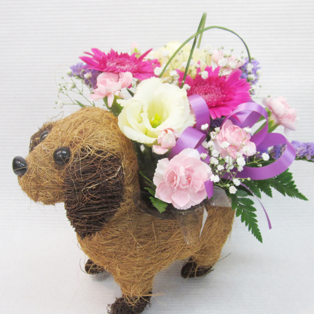 ペット用のお悔み花